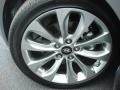 Willow Gray - Sonata GLS Photo No. 20
