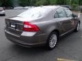 Oyster Gray Metallic - S80 3.2 Photo No. 3
