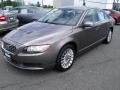 Oyster Gray Metallic - S80 3.2 Photo No. 7
