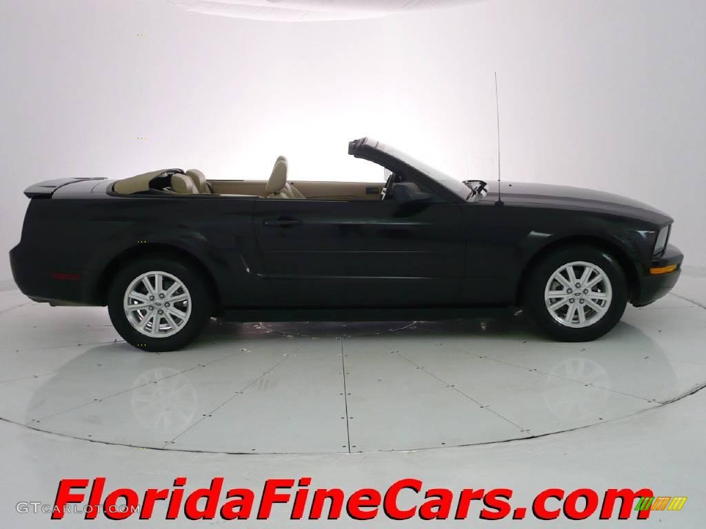 2007 Mustang V6 Premium Convertible - Black / Medium Parchment photo #4