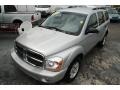 2004 Brilliant Silver Metallic Dodge Durango SLT  photo #10