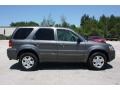 Dark Shadow Grey Metallic 2006 Ford Escape Limited 4WD Exterior