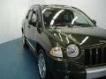 2007 Jeep Green Metallic Jeep Compass Limited  photo #7