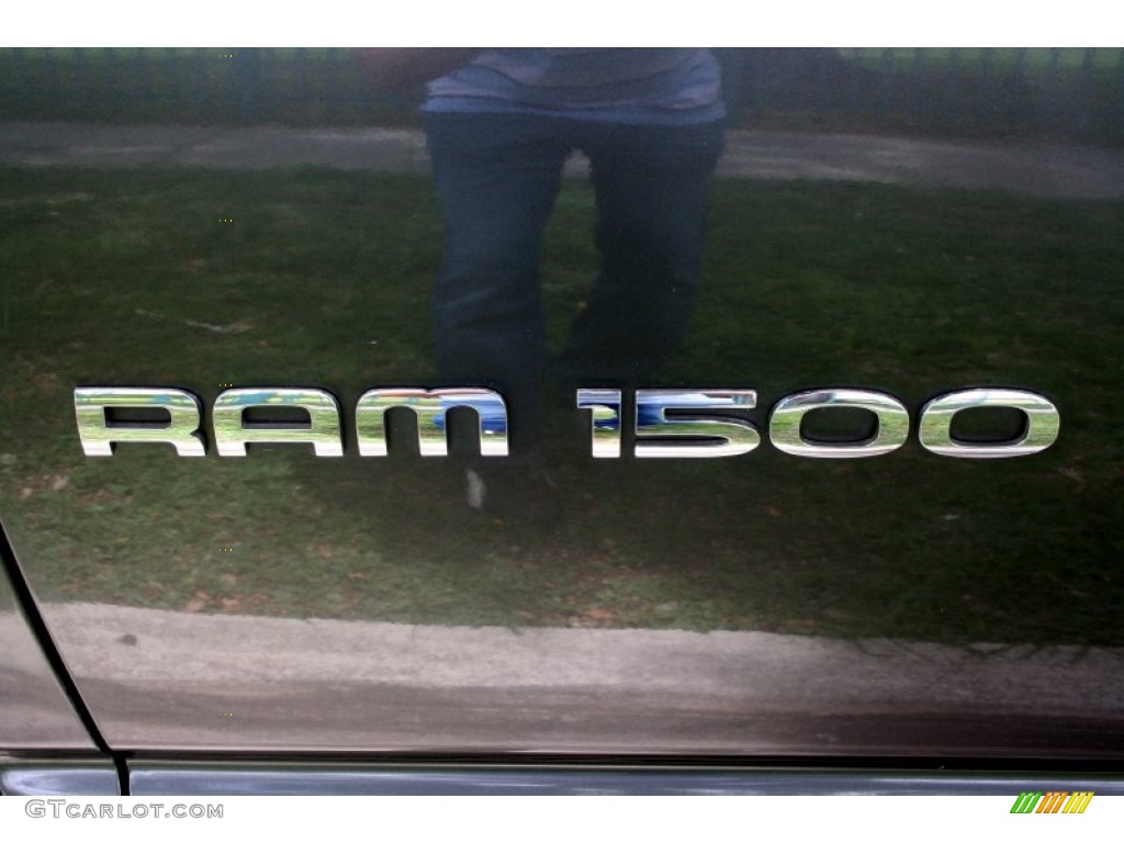 2002 Ram 1500 SLT Quad Cab 4x4 - Graphite Metallic / Dark Slate Gray photo #52