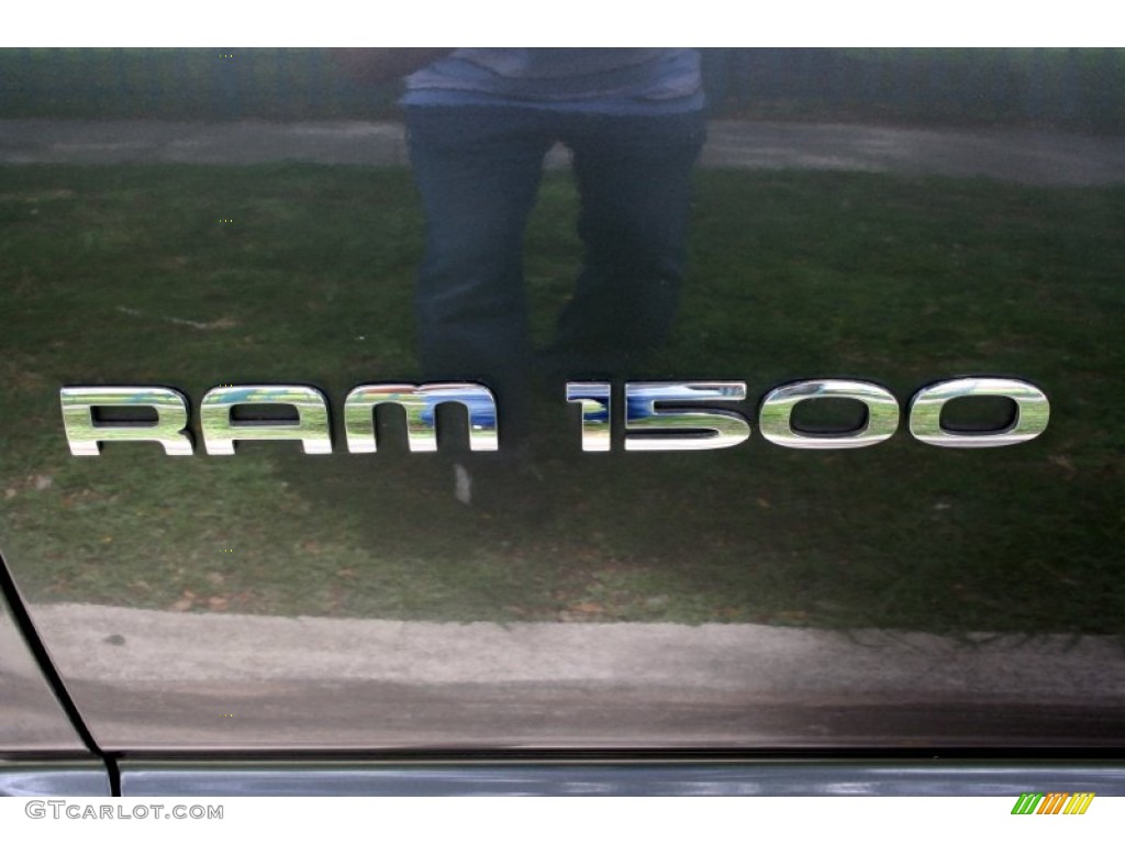 2002 Ram 1500 SLT Quad Cab 4x4 - Graphite Metallic / Dark Slate Gray photo #91