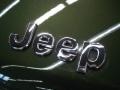 2007 Jeep Green Metallic Jeep Compass Limited  photo #37