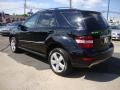 Black - ML 350 4Matic Photo No. 3
