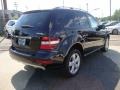Black - ML 350 4Matic Photo No. 4