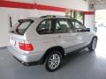 Titanium Silver Metallic - X5 3.0i Photo No. 4