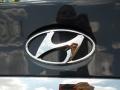 2012 Pacific Blue Pearl Hyundai Sonata SE  photo #16