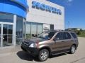 Mojave Mist Metallic - CR-V EX 4WD Photo No. 1