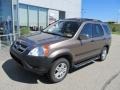 Mojave Mist Metallic - CR-V EX 4WD Photo No. 2