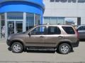 Mojave Mist Metallic - CR-V EX 4WD Photo No. 3