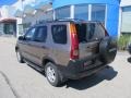 Mojave Mist Metallic - CR-V EX 4WD Photo No. 6