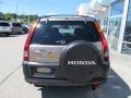 Mojave Mist Metallic - CR-V EX 4WD Photo No. 7