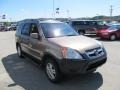 Mojave Mist Metallic - CR-V EX 4WD Photo No. 9