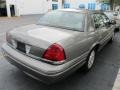 2004 Spruce Green Metallic Ford Crown Victoria LX  photo #2