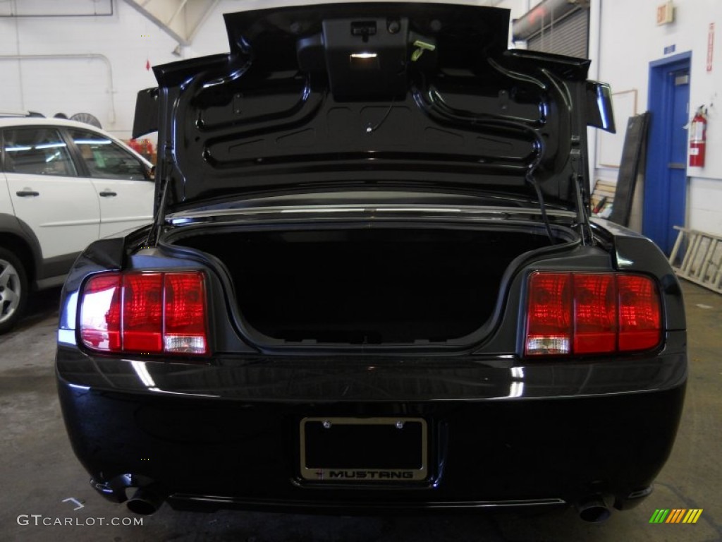 2007 Mustang GT Premium Convertible - Black / Dark Charcoal photo #6