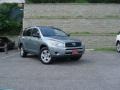 2006 Everglade Metallic Toyota RAV4   photo #1