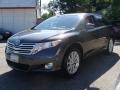 Magnetic Gray Metallic - Venza I4 Photo No. 4