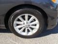 Magnetic Gray Metallic - Venza I4 Photo No. 10