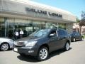 Smokey Granite - RX 350 AWD Photo No. 1