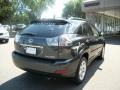 Smokey Granite - RX 350 AWD Photo No. 7