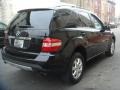 Black - ML 350 4Matic Photo No. 3