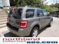 Sterling Grey Metallic - Escape XLT 4WD Photo No. 7