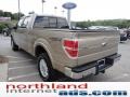 2011 Pale Adobe Metallic Ford F150 XLT SuperCrew 4x4  photo #5