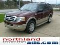 2008 Dark Copper Metallic Ford Expedition King Ranch 4x4  photo #4
