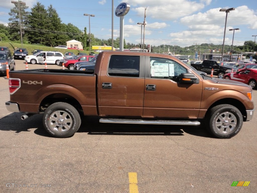 2011 F150 XLT SuperCrew 4x4 - Golden Bronze Metallic / Pale Adobe photo #5