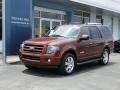 2008 Dark Copper Metallic Ford Expedition Limited  photo #45
