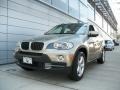 Platinum Bronze Metallic - X5 3.0si Photo No. 1