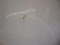 Oxford White - F350 Super Duty Lariat Crew Cab 4x4 Dually Photo No. 47