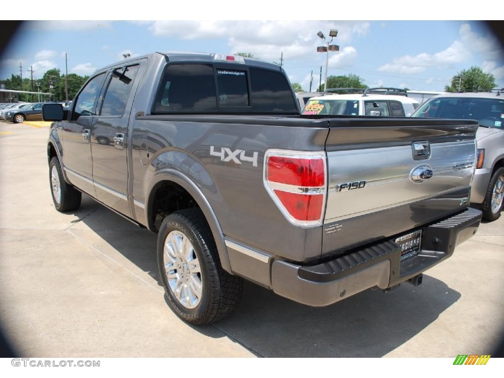 2010 F150 Platinum SuperCrew 4x4 - Ingot Silver Metallic / Sienna Brown Leather/Black photo #3