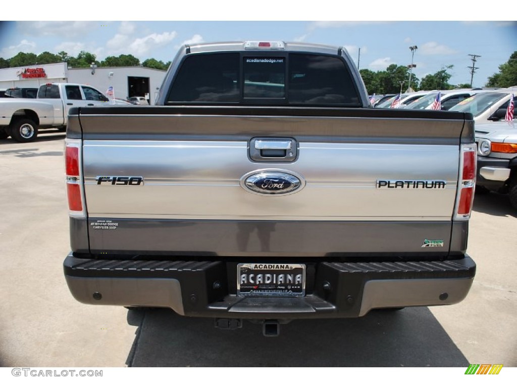 2010 F150 Platinum SuperCrew 4x4 - Ingot Silver Metallic / Sienna Brown Leather/Black photo #4