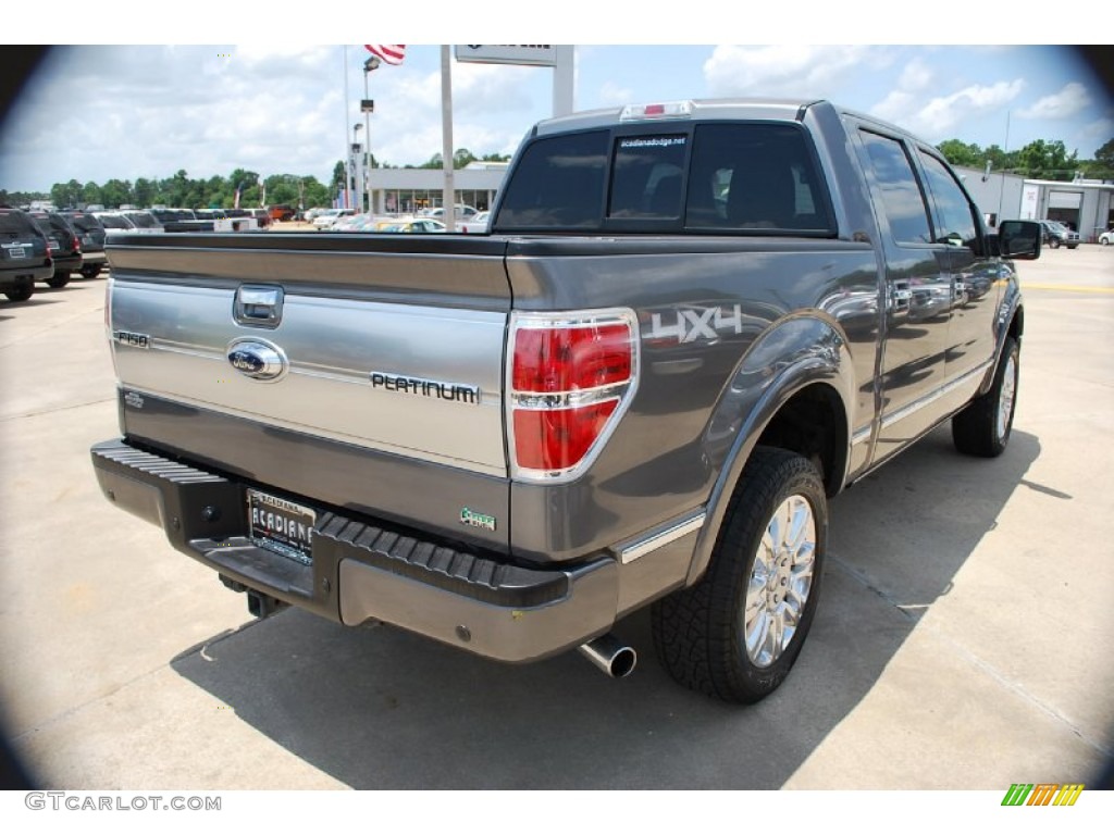 2010 F150 Platinum SuperCrew 4x4 - Ingot Silver Metallic / Sienna Brown Leather/Black photo #6