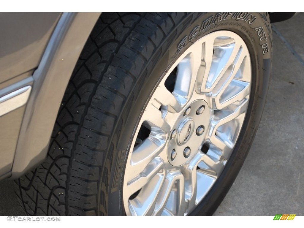 2010 F150 Platinum SuperCrew 4x4 - Ingot Silver Metallic / Sienna Brown Leather/Black photo #8