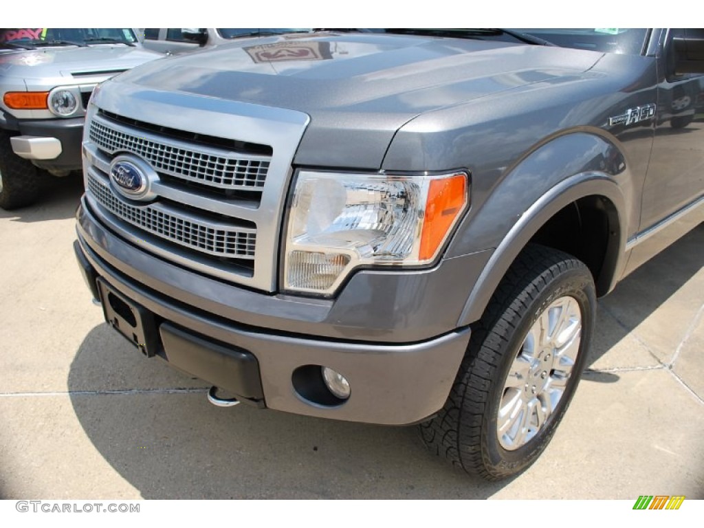 2010 F150 Platinum SuperCrew 4x4 - Ingot Silver Metallic / Sienna Brown Leather/Black photo #13