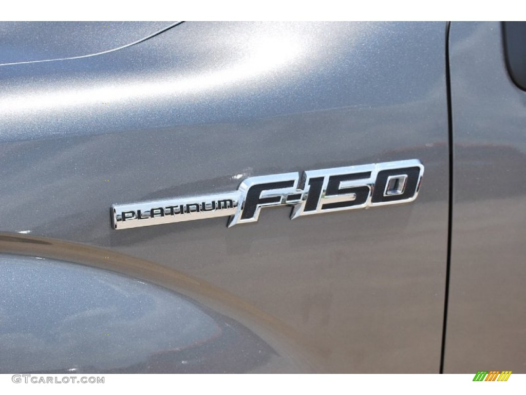 2010 F150 Platinum SuperCrew 4x4 - Ingot Silver Metallic / Sienna Brown Leather/Black photo #16