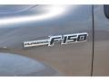 2010 Ingot Silver Metallic Ford F150 Platinum SuperCrew 4x4  photo #16