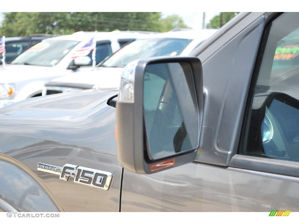 2010 F150 Platinum SuperCrew 4x4 - Ingot Silver Metallic / Sienna Brown Leather/Black photo #18