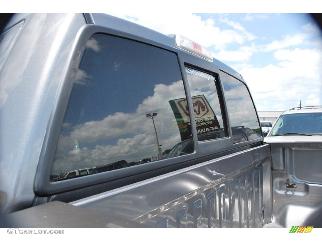 2010 F150 Platinum SuperCrew 4x4 - Ingot Silver Metallic / Sienna Brown Leather/Black photo #22