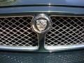 Emerald Fire Metallic - XJ Vanden Plas Photo No. 12