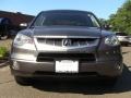 Polished Metal Metallic - RDX  Photo No. 3