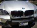 Titanium Silver Metallic - X5 xDrive30i Photo No. 11