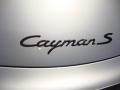 2006 Porsche Cayman S Marks and Logos
