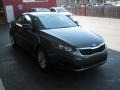 Platinum Graphite - Optima LX Photo No. 7