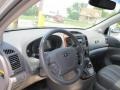 2007 Silver Kia Sedona EX  photo #9